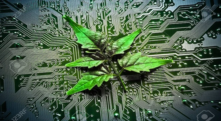 Green Computing Initiatives in Small Businesses: A Comprehensive Guide