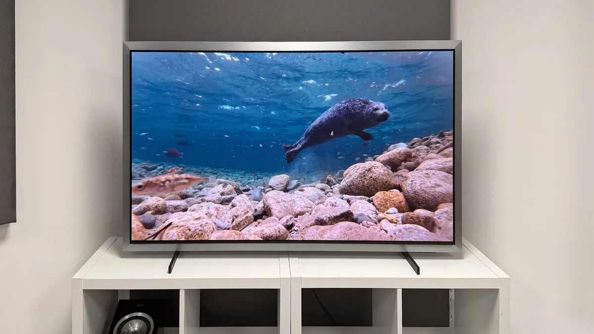 Samsung S99H OLED TV displayed in a living room setup